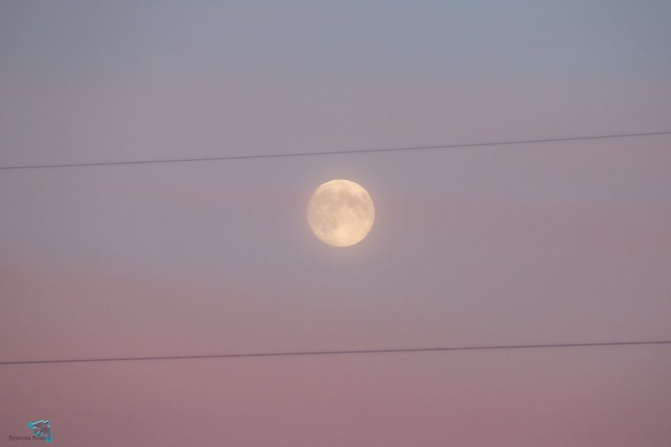 Морозная красота. Нина Буркова сделала зимние фотографии, от которых тепло на душе