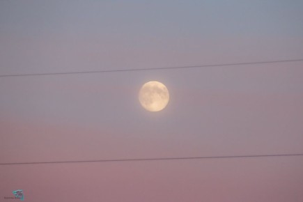 �������� �������. ���� ������� ������� ������ ����������, �� ������� ����� �� ����