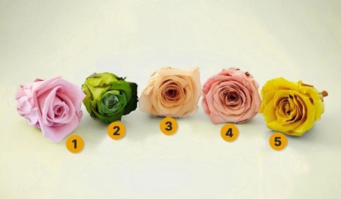 ��� ������� ���� ��������� ����: �������� ������� ������� ����� ������ ����