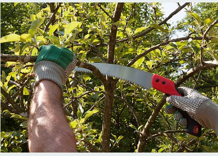 ������ �������: �������, ������� ����������� ����� �����