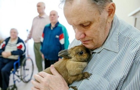 Переосмысляя поддержку граждан: Госдума выступила за снижение налогов