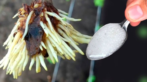 ��� �������� �������� ���������� �������� � ������� ����������: ������� ��������������