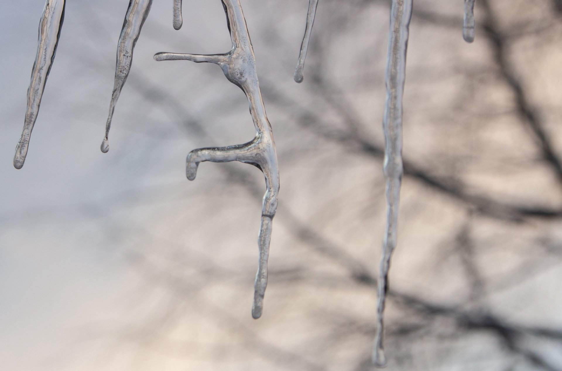 Двадцатиградусные морозы не испугали Юлию Колосову: даже в такой холод она отправилась на фотопрогулку, где сделала волшебные кадры Двадцатиградусные морозы не испугали Юлию Колосову: даже в такой холод она отправилась на фотопрогулку, где сделала волшебные кадры