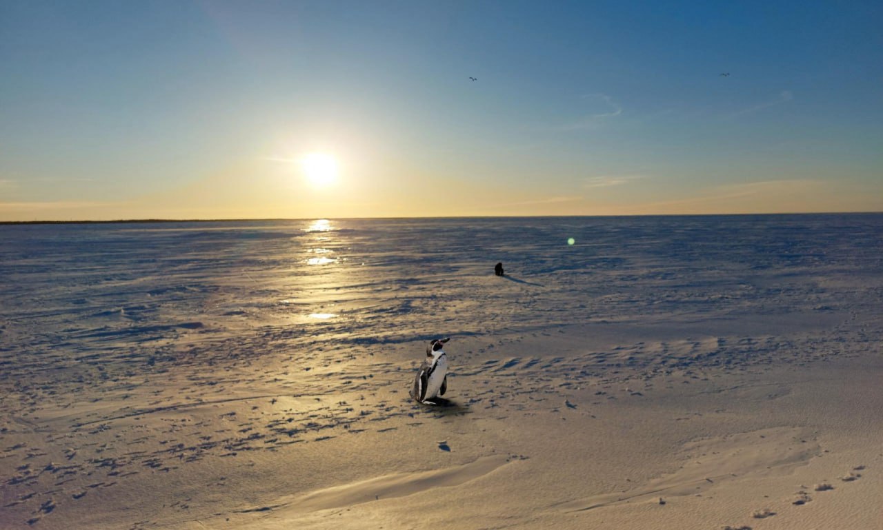 Мы продолжаем вспоминать 2025 год на Регионе 29