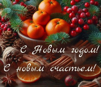 ����� �������� 2026 ���