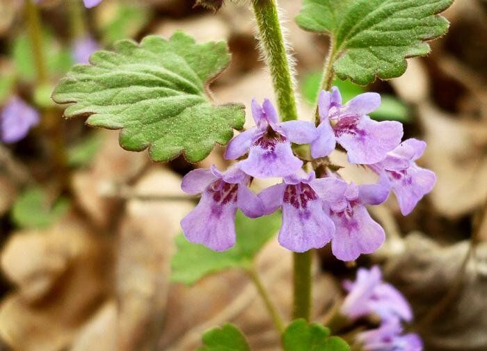 �����: ������������� �������� � �������� ����������