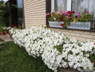 ��������� ������� �� ������ ��������: ������� � ������� ����� � ����������� �����