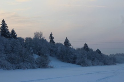 ���������� �������� ���� � ���� ���� ����� ����������� ����� ��������