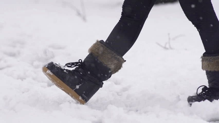 ���������� ��������� �� ���� ����������� � 15 �����