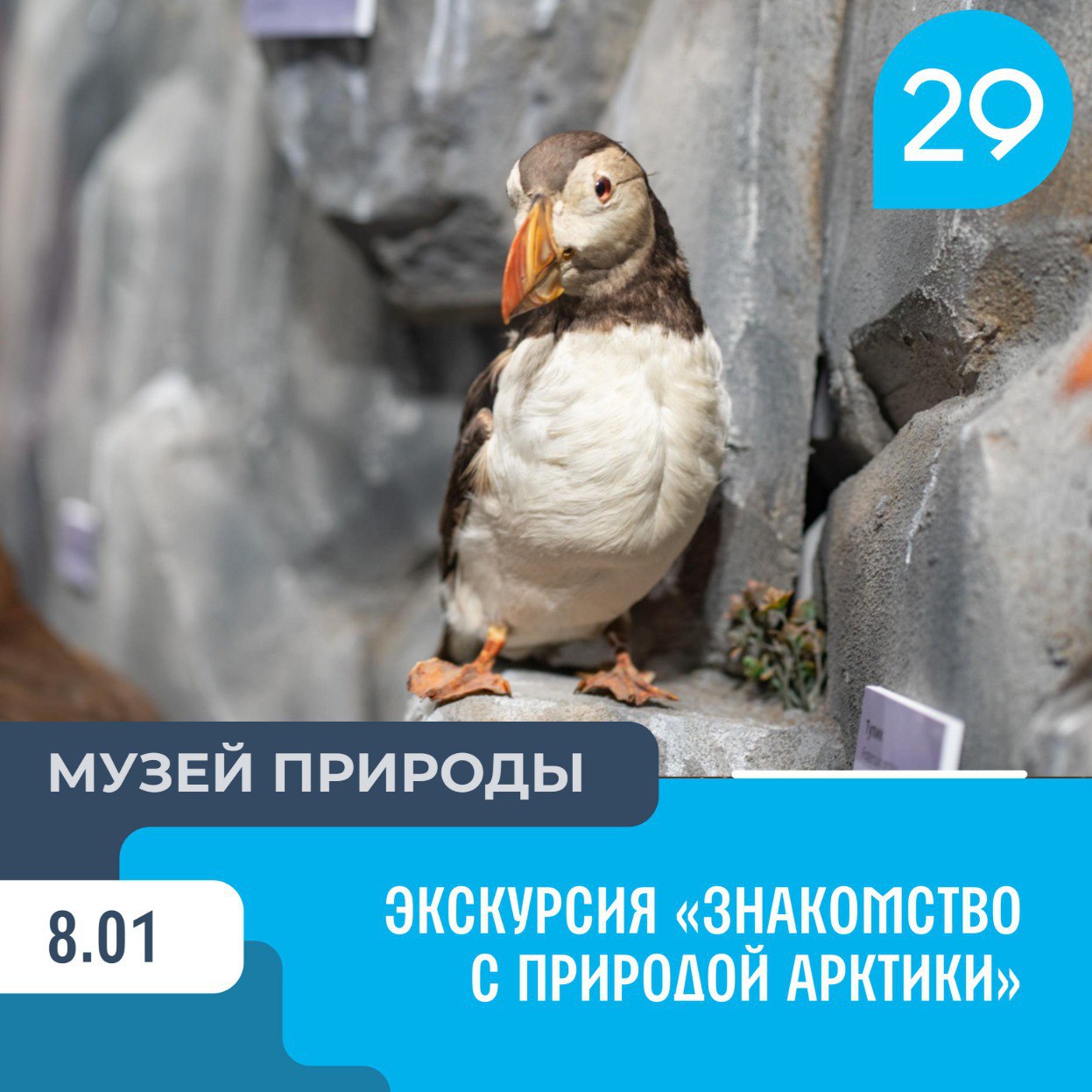 Если отдыхать вы уже устали, а на работу ещё рано, займитесь саморазвитием! Сходите в музей, театр или на фестиваль безопасности! Если отдыхать вы уже устали, а на работу ещё рано, займитесь саморазвитием! Сходите в музей, театр или на фестиваль безопасности!