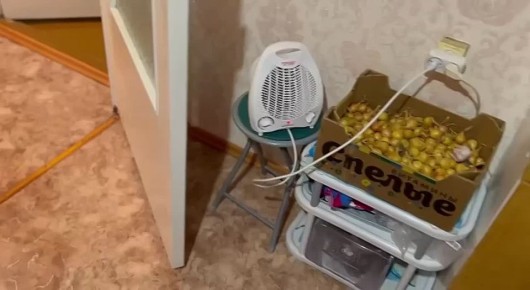 ����������� � ����� ���������