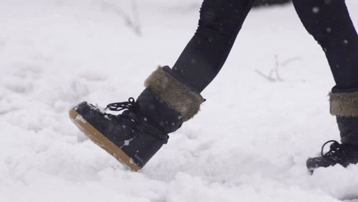 ���������� ������������������� ���������� ������� ��������� 14 �/� - ��� ������������� �� 14.30 10 ������