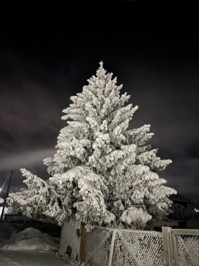 � �� ������ ����� � ���������?