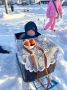 Ярко, весело, творчески!. В Приводино (Котласский округ) прошёл фестиваль креативных рождественских санок! Это был настоящий праздник зимнего настроения, объединивший и детей, и взрослых
