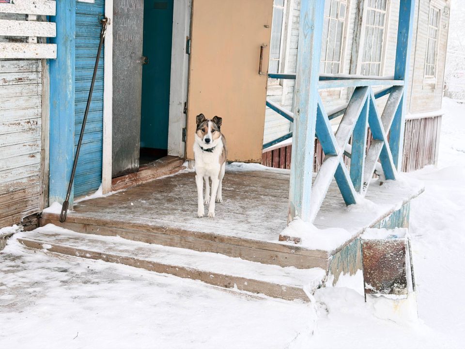 ������, ����� � ����������� �������