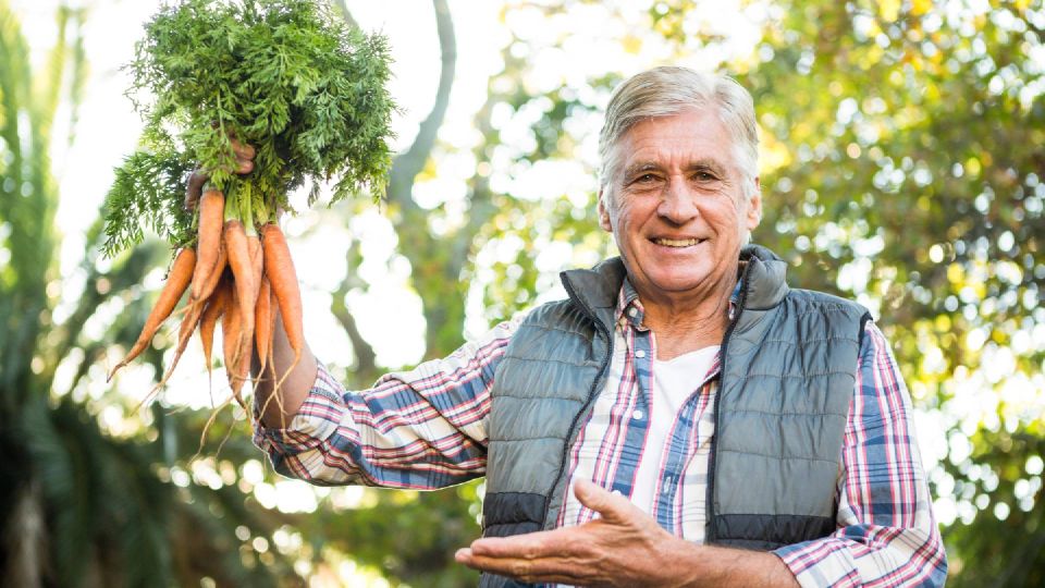 � ������� ������ �� ����� ������� ������� ��������: ��� ��� �������� ������� � �������