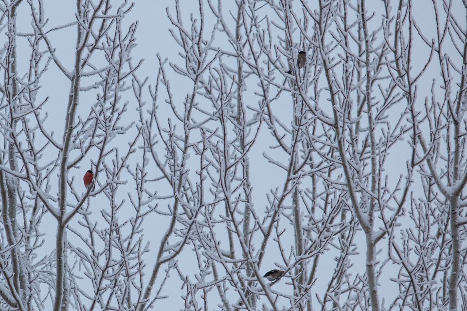 ������, ����������� � ������������� ������� ������ ��������� ������������� � �������� � ������ ��������