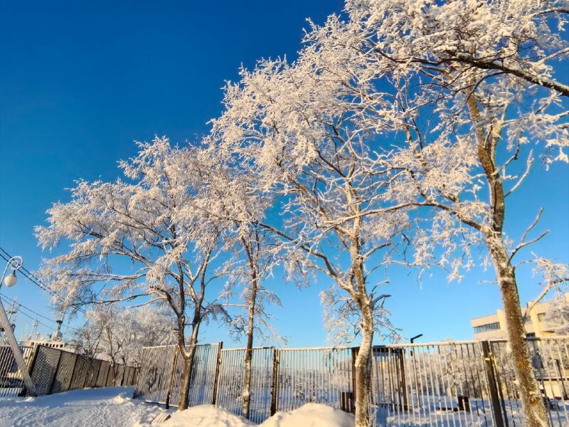 Сейчас на улице морозно, но красиво! Зимние пейзажи просто завораживают! Сейчас на улице морозно, но красиво! Зимние пейзажи просто завораживают!