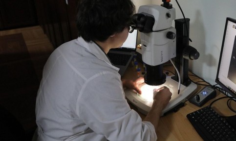 �������� �� ������������� ������� ����� � ����� ��������� �� � ������������