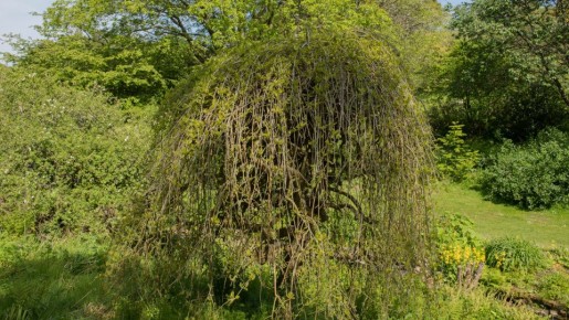 ��������� ��������: ���������� ���� � ������� ������� ��� ������ ����