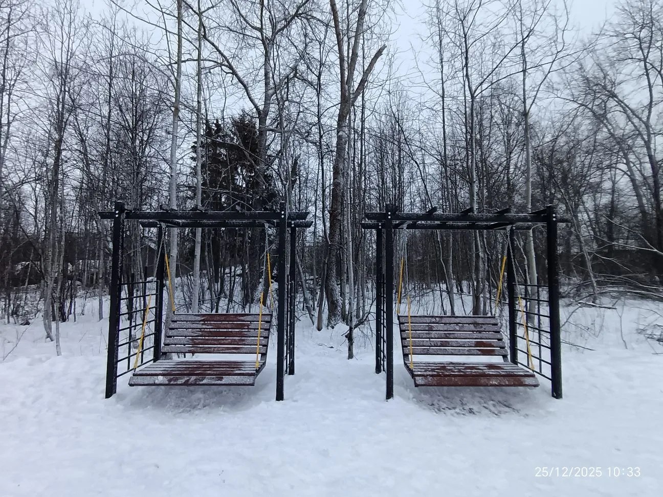 В Пионерском парке появились качели