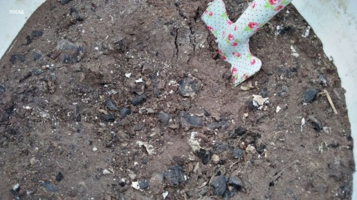 ���������� ����� ��������� ��� ����������� ����� ������