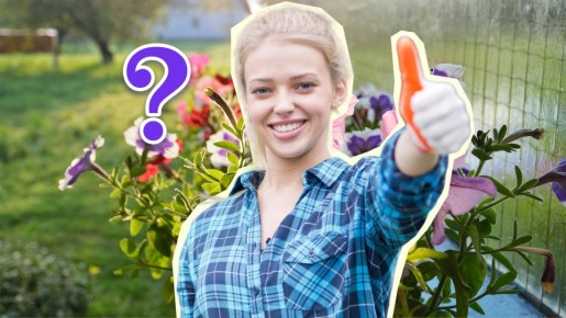 �������� ��� ����� ����� � ��������: ������ ����� ��������, ��� � �������