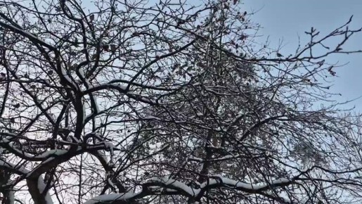 ������ ����, ������!. �������� �������� ��������� ����, ������� �����: ������� � ������������