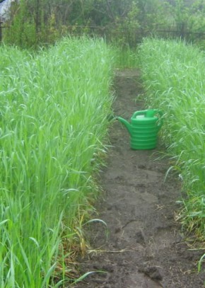 ��� �������� ����� ������ ���������� � ������������� �� ����� �������