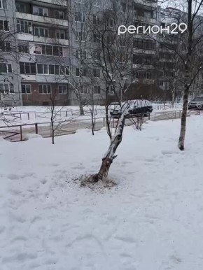 ������ ����� ������� �������� ������ ������ �� �������� ������� ������������