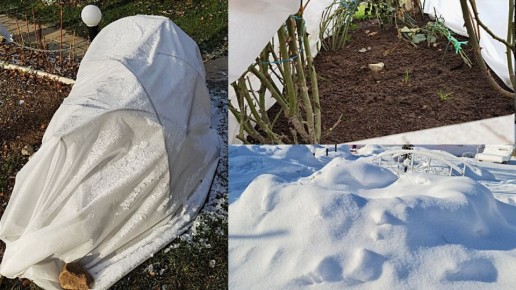 ��� ������ ����: �������� ��� ���?