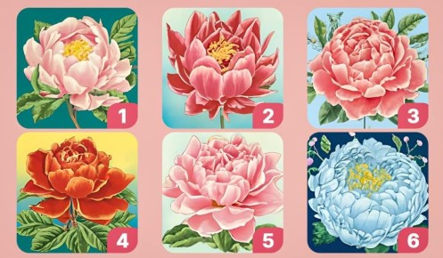 �������� ����: ��� � ��� ������� ��� ������� ������