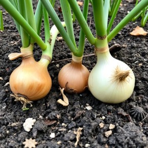 ��� ��� ������: 5 ������ ��� ������������� �����������