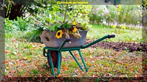 �������� �� ����: �� �������� ������ ���� ������