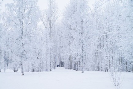 ����������� ������������ � ��������� ��������� �������� ������� ���������