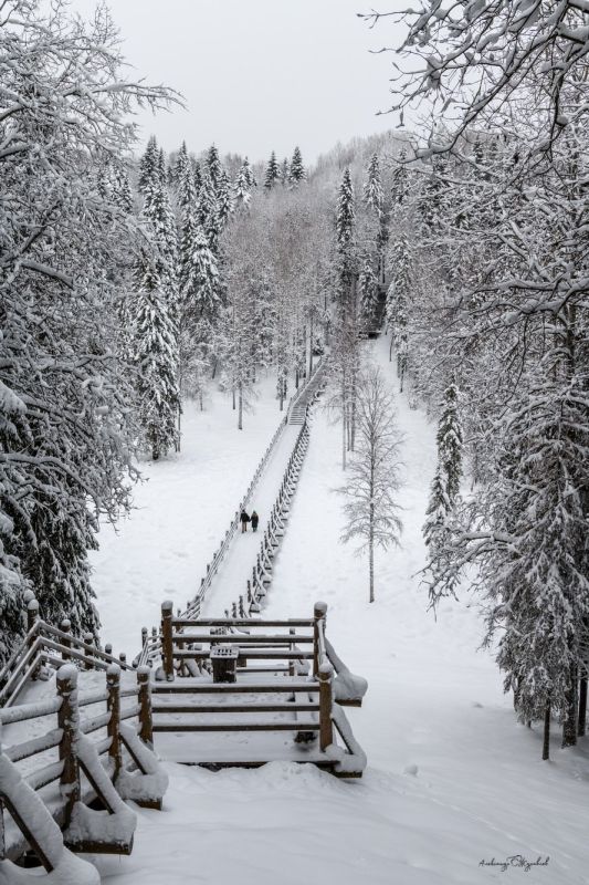 �������� ��������� �������� ���������� ������ ������ � ����� �������