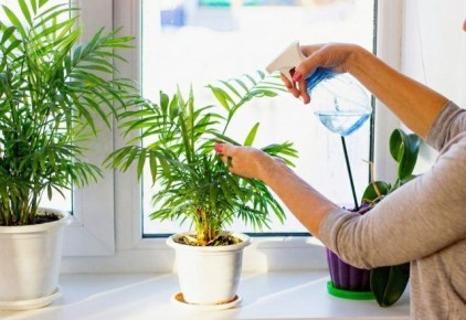 ������, ������� ������� ���� ������