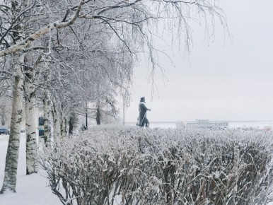 ������ ����, ������!. ����� ������ ��� ��� �������?