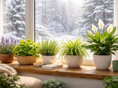 ��� ��������� �������� ������ ������ ������ � ������ �����