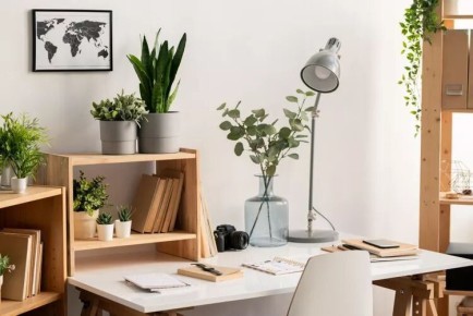 ��� �������� � ������� ��� ���������� �����: 5 ����������� �����