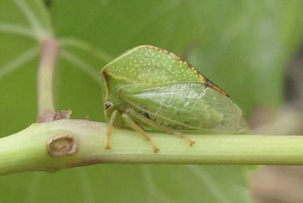 ������� �� ���������: ��� ������� ���� �� ������� ����������