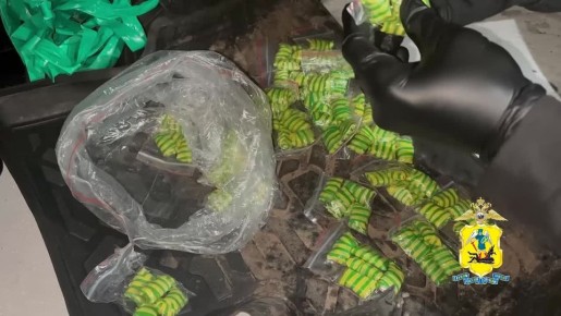 Сотрудниками отдельного батальона ППСП УМВД России по г. Архангельску в подъезде жилого дома по улице Вологодская по подозрению в совершении наркопреступления был задержан нигде не работающий 38-летний местный житель