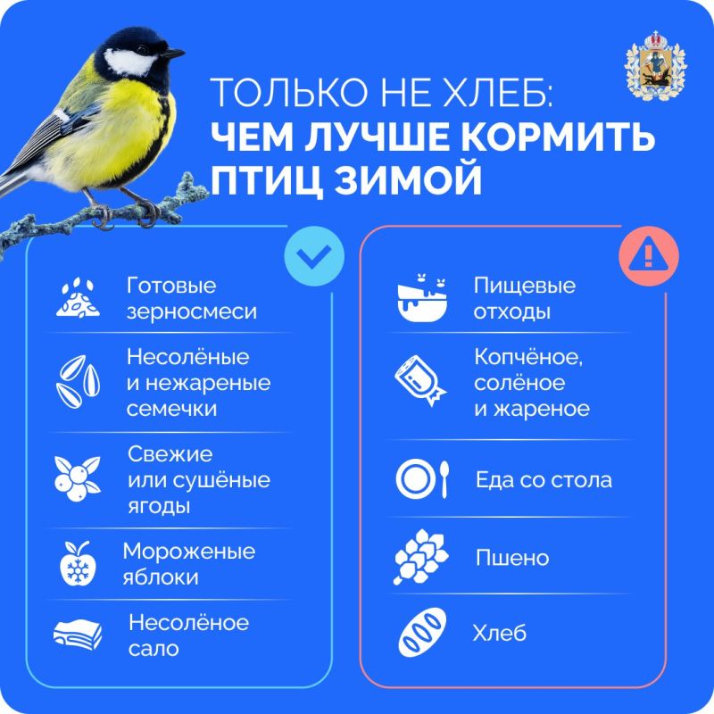 ����� ������ �������� ����� ���� ������