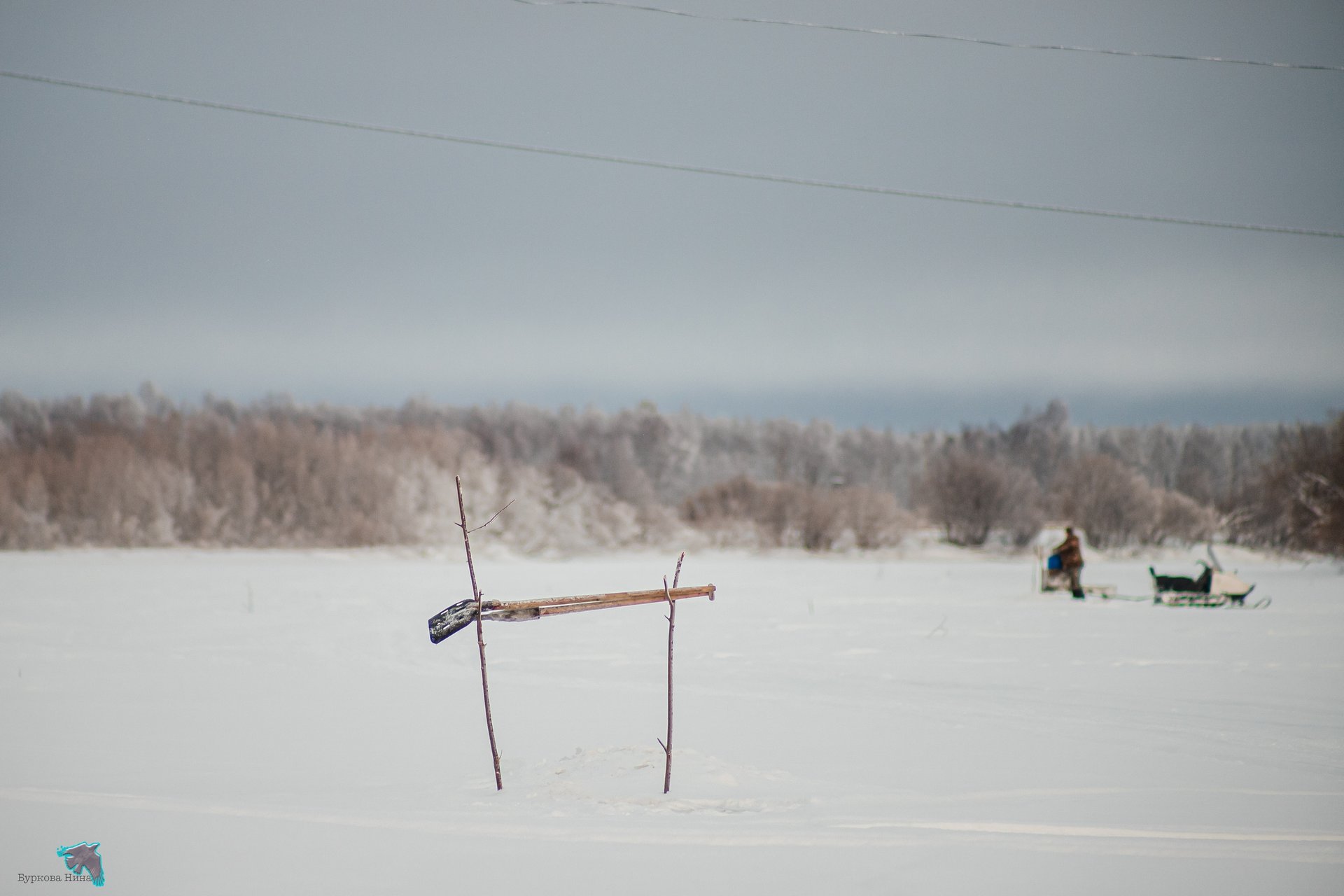 Деревенская зима — уютные домики под снежным покровом, заснеженные поля и морозное небо Деревенская зима — уютные домики под снежным покровом, заснеженные поля и морозное небо