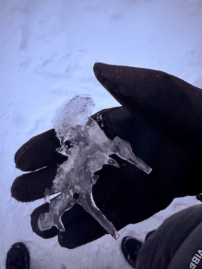 ���������� ������ ��������, �������� ������ � ��������� �����������