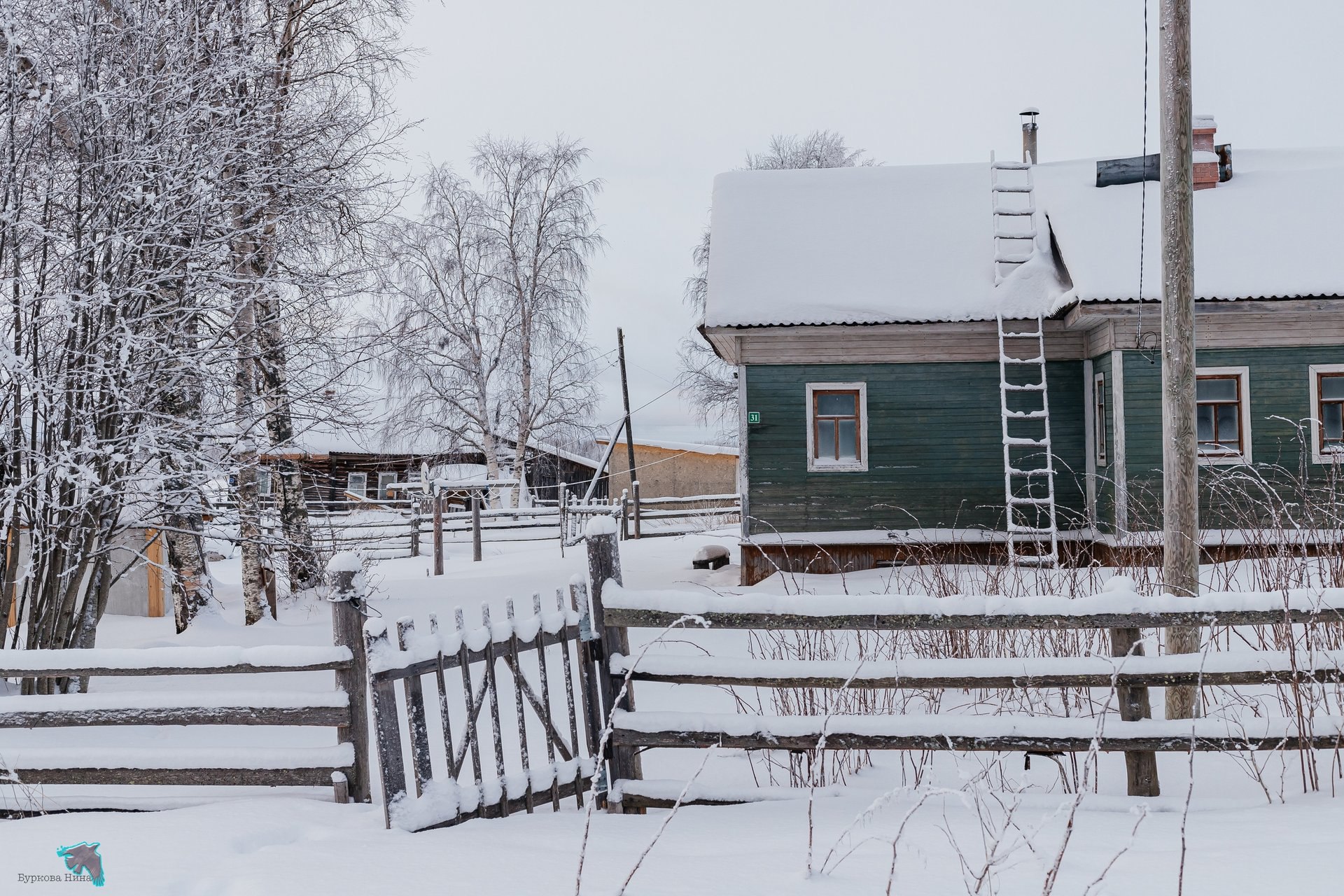 Деревенская зима — уютные домики под снежным покровом, заснеженные поля и морозное небо Деревенская зима — уютные домики под снежным покровом, заснеженные поля и морозное небо