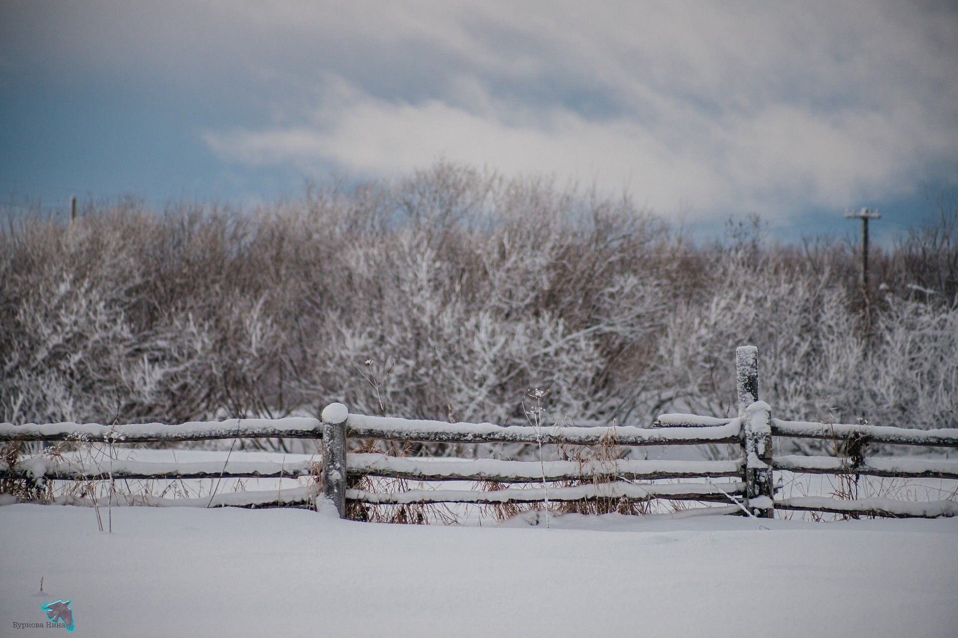 Деревенская зима — уютные домики под снежным покровом, заснеженные поля и морозное небо Деревенская зима — уютные домики под снежным покровом, заснеженные поля и морозное небо