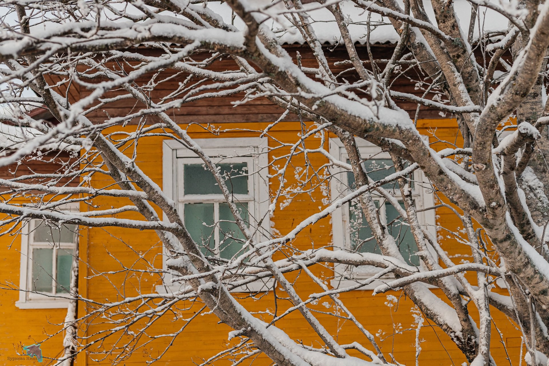 Деревенская зима — уютные домики под снежным покровом, заснеженные поля и морозное небо Деревенская зима — уютные домики под снежным покровом, заснеженные поля и морозное небо
