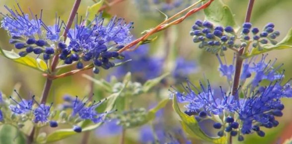 ����������� � ����� ����� � ���� ��� ������ ������