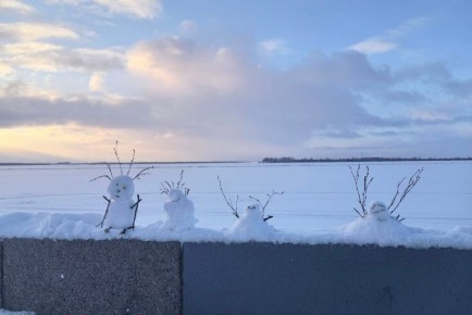 ���������� - ������ ������ ����������!